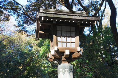 Yaz parkında geleneksel Japon feneri