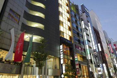 Tokyo şehrinin modern mimarisi Alacakaranlık zamanı, Japonya 