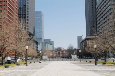 Güneşli bir günde modern şehir mimarisi. Yol, ağaçlar ve gökdelenlerin manzarası