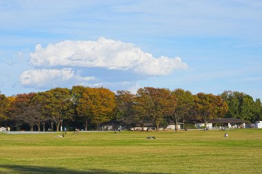 Çimlerin üzerinde birkaç kişinin oturduğu bir park.
