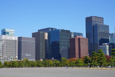 Tokyo şehir manzarası güneşli bir günde, Japonya