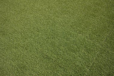 yeşil çimenlerin arkaplanı 