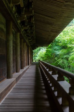 Ormanda güzel ahşap mimari