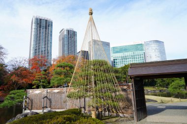 Tokyo City, Japonya 'da modern kuleleri ve yeşil parkı olan şehir manzarası