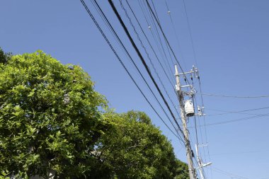 yeşil ağaçlar ve elektrik direği mavi gökyüzüne karşı kablolar