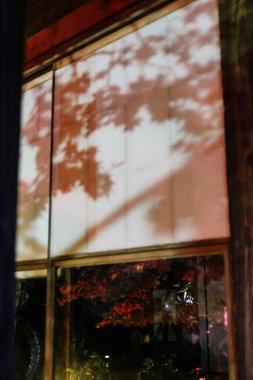 Hadano, Japonya 'daki Ryokusuian Tarihi Evi. Bu geleneksel Japon evi resim gibi bir bahçeyle çevrilidir. Akçaağaç yapraklarının parlak renklere dönüştüğü sonbahar manzarasıyla ünlüdür. Ev akşamları aydınlanır.