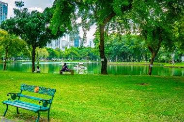Göllü, çimenli ve yeşil ağaçlı yaz manzaralı şehir parkı