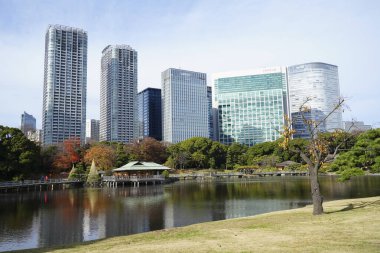 Tokyo City, Japonya 'da modern kuleleri ve yeşil parkı olan şehir manzarası