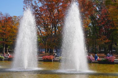 Ueno Park, Tokyo, Japonya 'daki Çeşmeler 