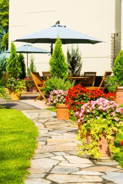 Yaz bahçesindeki parlak çiçeklerin güzel manzarası