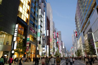 Tokyo şehrinin modern mimarisi Alacakaranlık zamanı, Japonya 