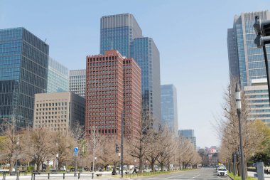 Yüksek binalar ve mavi gökyüzü - Tokyo, Japonya