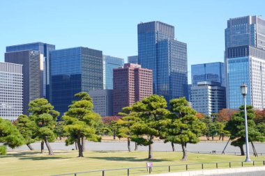 Tokyo şehir manzarası güneşli bir günde, Japonya