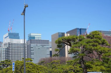 Tokyo, Japonya 'daki modern binaların manzarası