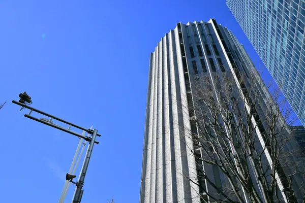 日本东京中城的商业大厦 日间观看 — 图库照片