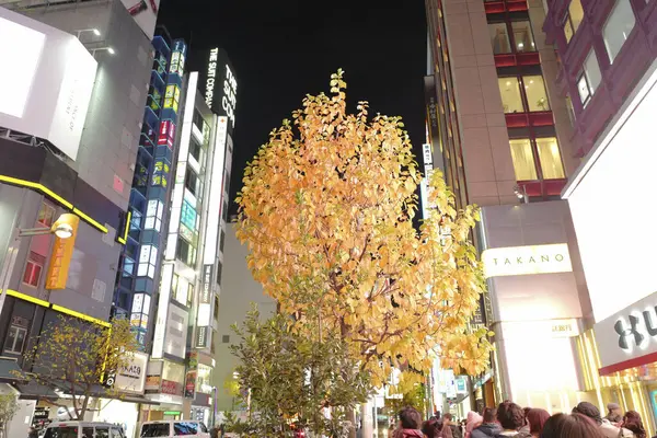 Luces Calle Comercial Ciudad Tokio Japón —  Fotos de Stock