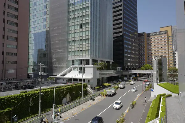Vista Panorámica Del Horizonte Ciudad Tokio Japón — Foto de Stock
