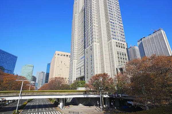 东京市政府大楼在阳光明媚的日子 — 图库照片
