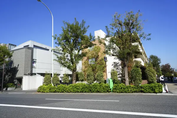 Vista Diurna Arquitectura Moderna Ciudad Japonesa — Foto de Stock