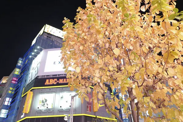 Világító Épületek Utcán Tokióban Japánban — Stock Fotó