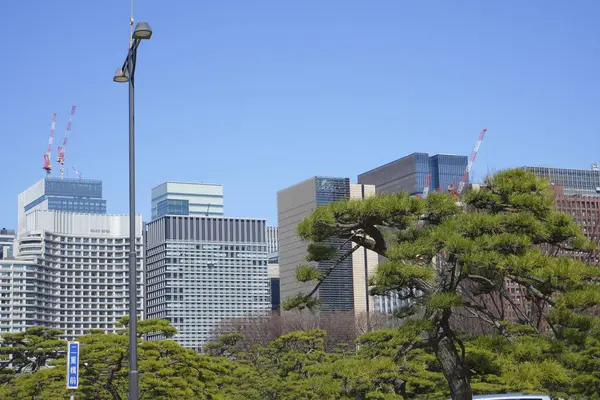 Vue Sur Les Bâtiments Modernes Tokyo Japon — Photo