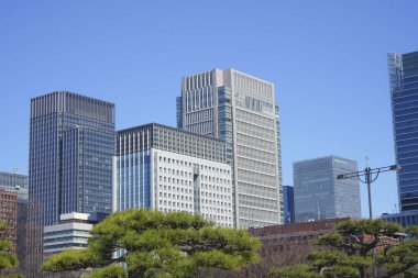 Tokyo, Japonya 'daki modern binaların manzarası