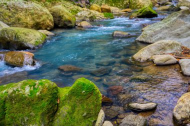 Taşlı şelale ve yeşil yosun