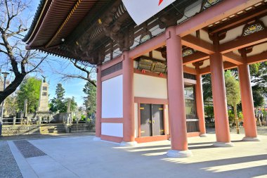 Güzel Japon tapınağı, Budizm konsepti