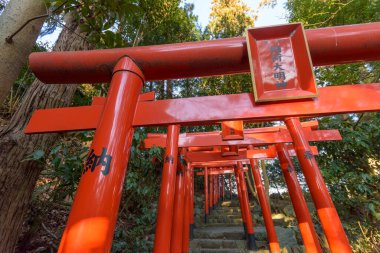 Güzel Japon tapınağı, Budizm konsepti