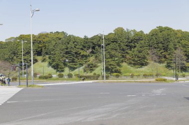 İnsanlar parkta yolda yürüyor.