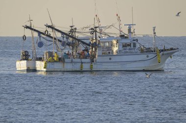 Gündüz vakti deniz suyunda balıkçı teknesi 