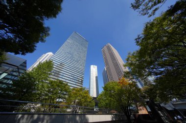 Yüksek binalar ve mavi gökyüzü - Tokyo, Japonya