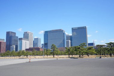 Meiji Seimei Kan binası ile Tokyo şehir manzarası, Japonya