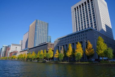 DN Kulesi 21 'in manzarası ve Japon İmparatorluk Sarayı' nın çevresindeki hendek.