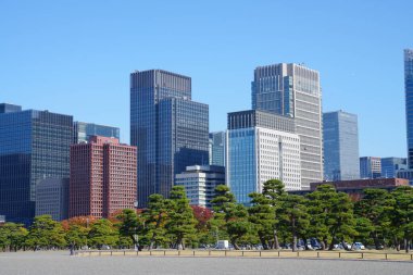 Tokyo şehir manzarası güneşli bir günde, Japonya
