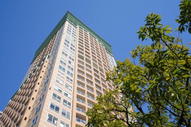 Şehirdeki modern ofis binaları, güneşli bir günde gökdelenler 