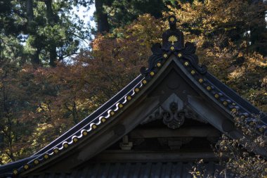 Şehir parkında güzel bir mimari