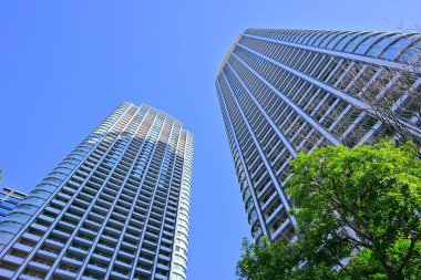 Yüksek binalar ve mavi gökyüzü - Tokyo, Japonya