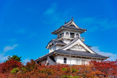 Japonya 'da sonbahar mevsiminde Nagahama Şatosu Tarih Müzesi ve akçaağaç ağaçları