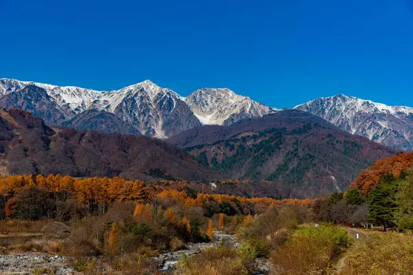 Karlı dağlarda güzel bir manzara ve parlak yapraklı sonbahar ormanı. 