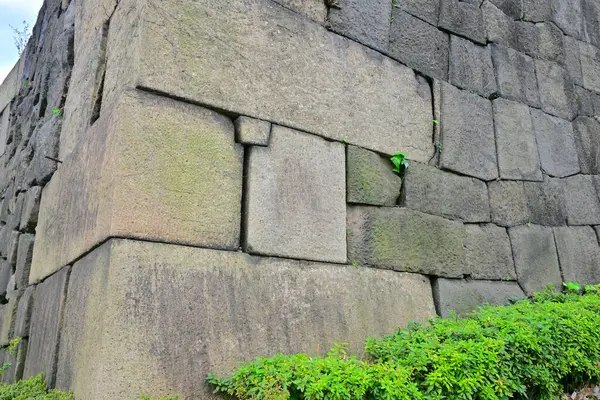 Древняя Каменная Стена Зелеными Растениями — стоковое фото