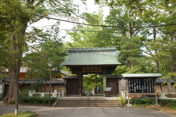 Japonya 'daki parktaki güzel Japon tapınağı.