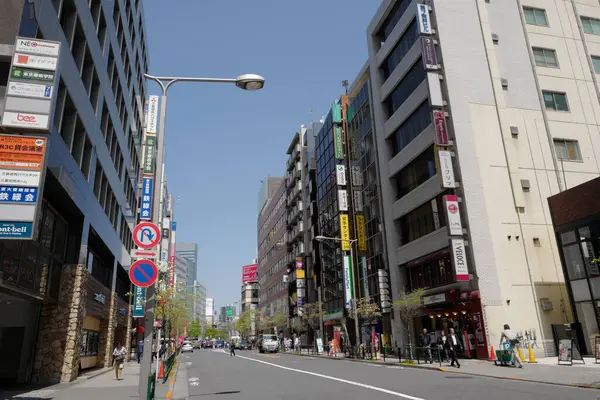 Szcenírozott Kilátás Városra Tokióban Japánban — Stock Fotó
