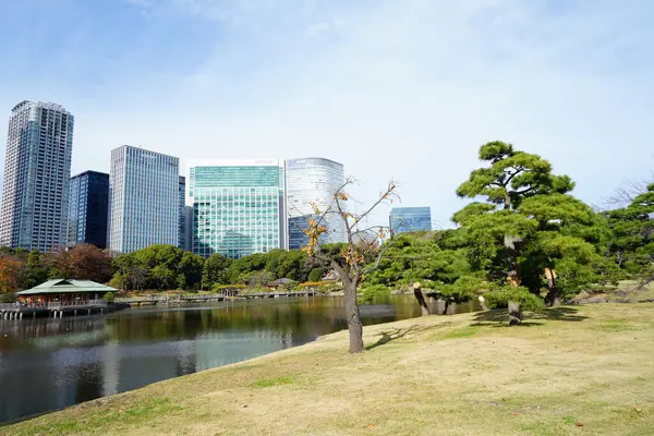日本东京市拥有现代化塔和绿园的城市景观 — 图库照片