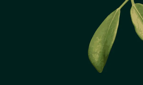 Feuille Verte Sur Fond Gris — Image vectorielle