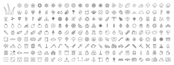 Bitki Bitkileri ve Ekinler Özetlenmiş Vektör Simgesi Megapack Şeffaf Arkaplan PNG Düzenlenebilir Vuruşlar APS