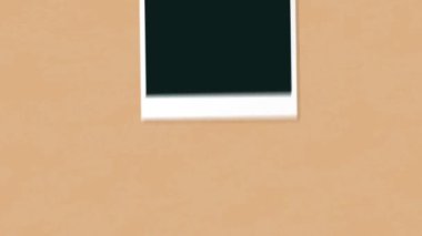 Boş Polaroid Resim Çerçevesi Şablon Duvar Sineği Animasyon Fotoğrafı Karton Karton Arkaplan