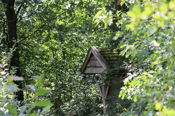 森林里的鸟屋欧洲阿尔芬自然保护区 2023年7月 — 图库照片