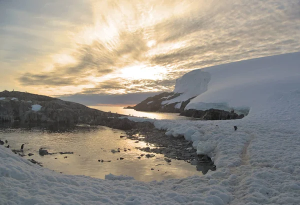 Antarctic Landscape Land Sea Sky — Stock Photo, Image