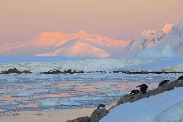 Ανταρκτικό Τοπίο Στεριά Θάλασσα Και Ουρανός — Φωτογραφία Αρχείου